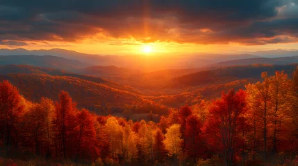 Selbstklebende Fototapeten An incredible aerial photograph of a vibrant autumn landscape with trees in shades of red, orange, and yellow carpeting the hills and valleys. © CanvasPixelDreams
