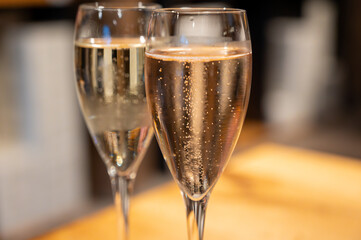 Tasting sparkling white wine, traditional champagne method making of cremant in caves on Moselle river valley in Luxembourg, wine tour and visiting caves