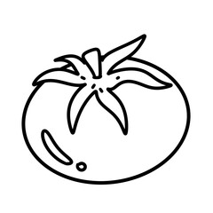 Element illustration Drawing vector Artwork