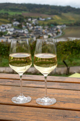 Glasses of white dry riesling wine made on Moselle river valley in Germany or Luxembourg, view on terraced vineyards