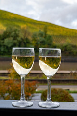 Glasses of white dry riesling wine made on Moselle river valley in Germany or Luxembourg, view on terraced vineyards