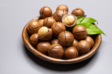 Australian Queensland macadamia nuts, or bush, maroochi, bauple nut, with sawn nutshell, fresh harvest