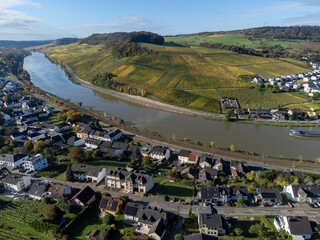 Fototapeta premium Aerial view of terraced vineyards around Nittel, Rhineland-Palatinate, Germany and views across Moselle River on vineyard hills of Machtum, Luxembourg