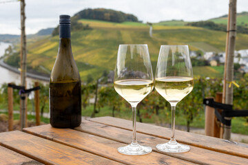 Glasses of white dry riesling wine made on Moselle river valley in Germany or Luxembourg, view on terraced vineyards