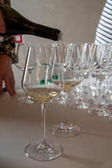 Tasting of white dry wine made on Moselle river valley in Luxembourg, winery visit in Grevenmacher, wine from terraced vineyards