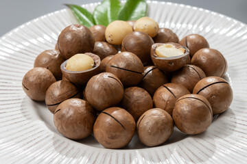 Australian Queensland macadamia nuts, or bush, maroochi, bauple nut, with sawn nutshell, fresh harvest