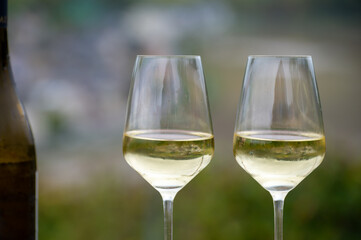 Glasses of white dry riesling wine made on Moselle river valley in Germany or Luxembourg, view on terraced vineyards