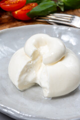 Cheese collection, eating of fresh soft white burrata cheese ball made from mozzarella and cream from Apulia, Italy, close up