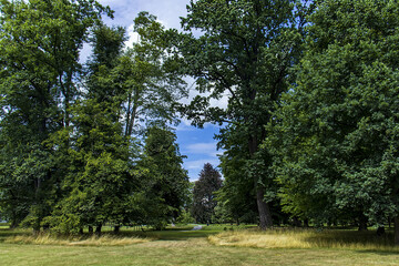 A beautiful green park with manicured green grass and large leafy trees. Park on a sunny day, nature, grass, trees, sky.