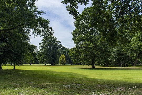 A beautiful green park with manicured green grass and large leafy trees. Park on a sunny day, nature, grass, trees, sky.