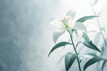 Obraz premium Beautiful flowers close-up 