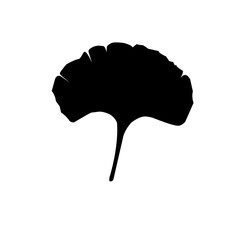 Ginkgo Biloba Leaf Silhouette 