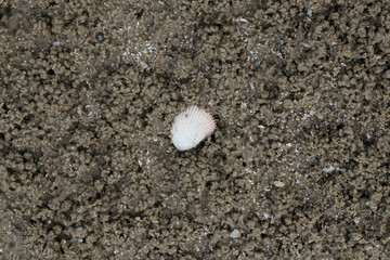 Sandy beach image at Hua Hin District, Prachuap Khiri Khan Province, Thailand for background.
