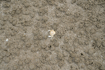 Sandy beach image at Hua Hin District, Prachuap Khiri Khan Province, Thailand for background.