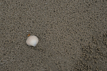 Sandy beach image at Hua Hin District, Prachuap Khiri Khan Province, Thailand for background.