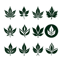 Obraz premium Leaves, Set of Leaves, Silhouettes of Leaves