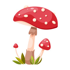 Fly agaric mushroom. Poisonous forest mushroom. Forest grass and leaves. Cartoon vector illustration on a white background.