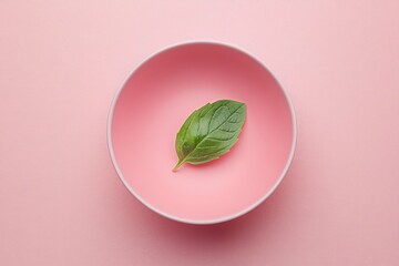 A solitary basil leaf displayed on a pink plate for focus.