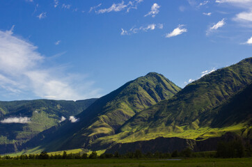 Obraz premium Breathtaking view of the Chulyshman Valley in Altai, Russia. Lush green meadows stretch towards towering, sunlit mountains under dramatic sky. Serene natural retreat ideal for outdoor adventures