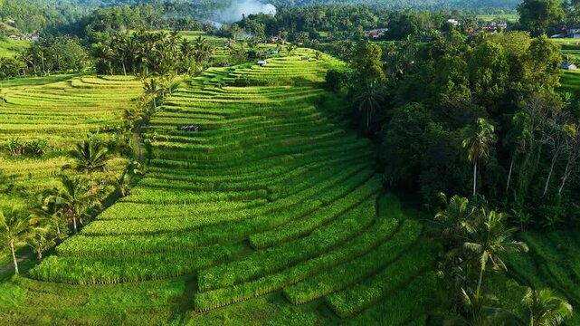 Landscape view of Jatiluwih Rice Terraces in Penebel District, Tabanan Regency, Bali, Indonesia. UNESCO's world's cultural heritage site