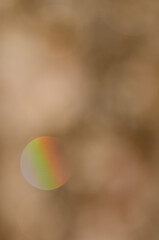 Abstract image formed by the reflection of drops of pine sap illuminated by the sun. Natural Reserve of Inagua. Tejeda. Gran Canaria. Canary Islands. Spain.