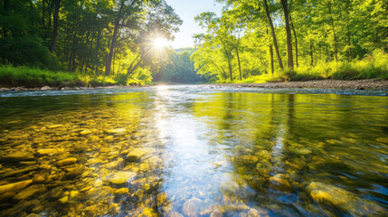 clear river meandering through dense forest, reflecting sunlight and surrounded by lush greenery. serene landscape evokes sense of tranquility and natural beauty