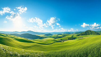 Fototapeta premium 夏の青空と広がる牧草地、日本の農村地帯の美しい風景