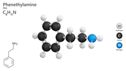 Molecule: Phenethylamine. Monoamine alkaloid. Molecular structure. Formula: C8H11N. Chemical model: Ball and stick. White background. 3D illustration.