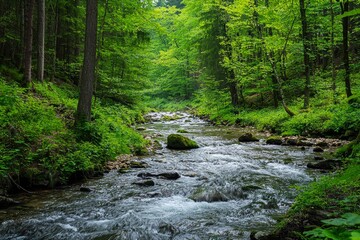 Obraz premium Winding river cutting through lush green forest.
