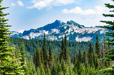 Fototapeta premium Scenery autumn countryside. Tahoma mountain landscape with forest. Mount Rainier mountain landscape. Forest nature. Nature in mountain countryside. Scenery landscape of mountain. Vast wilderness
