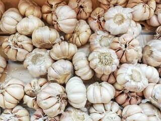 Fototapeta premium some garlic shot in close up