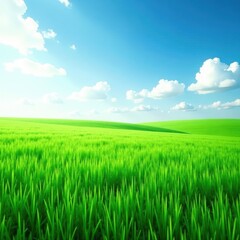 Obraz premium A vast field of emerald grass stretches out into the horizon , natural world, farm land, outdoors