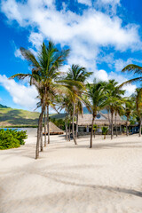 Beach with palm trees and a clear blue sky