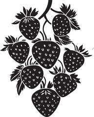 blackberry and raspberry