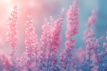 Naklejka premium Gentle pink flowers blossom in a soothing, soft ambiance, conveying a sense of peaceful beauty and natural harmony, enhanced by the soft background.