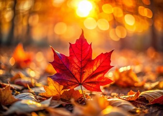 Vivid Single Red Maple Leaf Amongst Autumn Leaves - High-Resolution Stock Photo