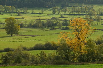 paysage de haute loire (43)