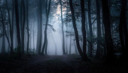 Sinister Misty Forest Cloaked in Dense Fog, Hiding Hidden Dangers