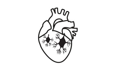 Fototapeta premium A stylized anatomical heart with neural network-inspired branches inside, drawn in black on a white background. Minimalist vector design for science or medical use.