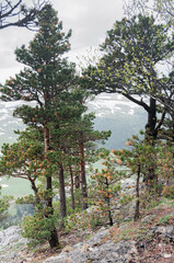 View of the Lago Naki plateau from the mountain peaks of the Caucasus Mountains, Krasnodar Krai, Republic of Adygea.
