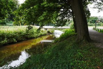 A park with a river gently winding through greenery and trees