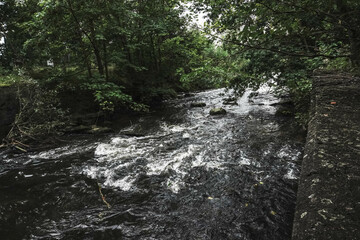 Rushing streams of a small river flow through natural obstacles