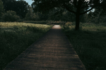 A wooden path winds through the park, blending harmoniously with nature