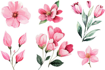 pink and white flowers
