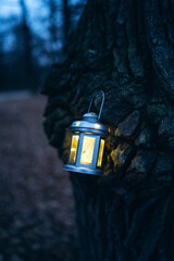 lantern in the night