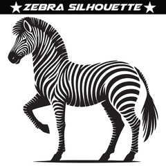 Animal zebra black and white stripes design, eps 10