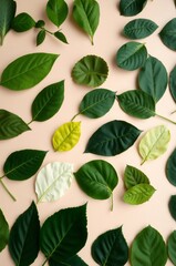 Variety of Green and Yellow Leaves in Diverse Shapes Arranged on Soft Beige Background