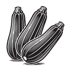 Zucchini Silhouette Vector Illustration, Solid White Background.