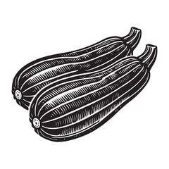 Zucchini Silhouette Vector Illustration, Solid White Background.
