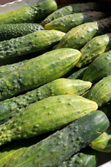 Close Up Texture View Of Many Fresh Green Cucumbers.